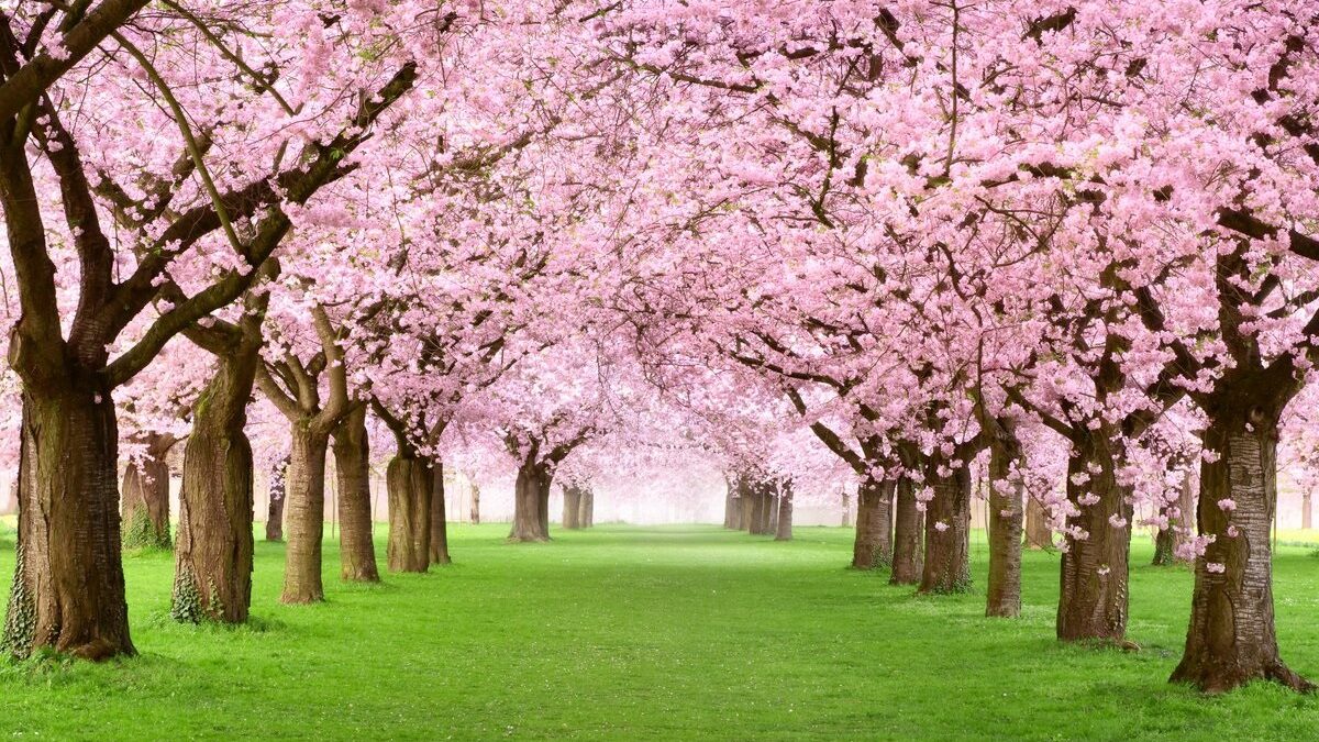 Il genio italiano che riallineò il tempo riportando la Primavera