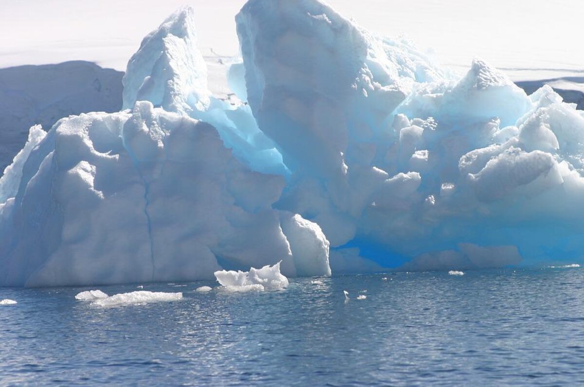 Cambiamento climatico e sopravvivenza: vite "estreme" a confronto