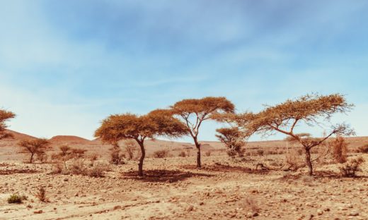 Clima. Anche l’Italia è a rischio desertificazione