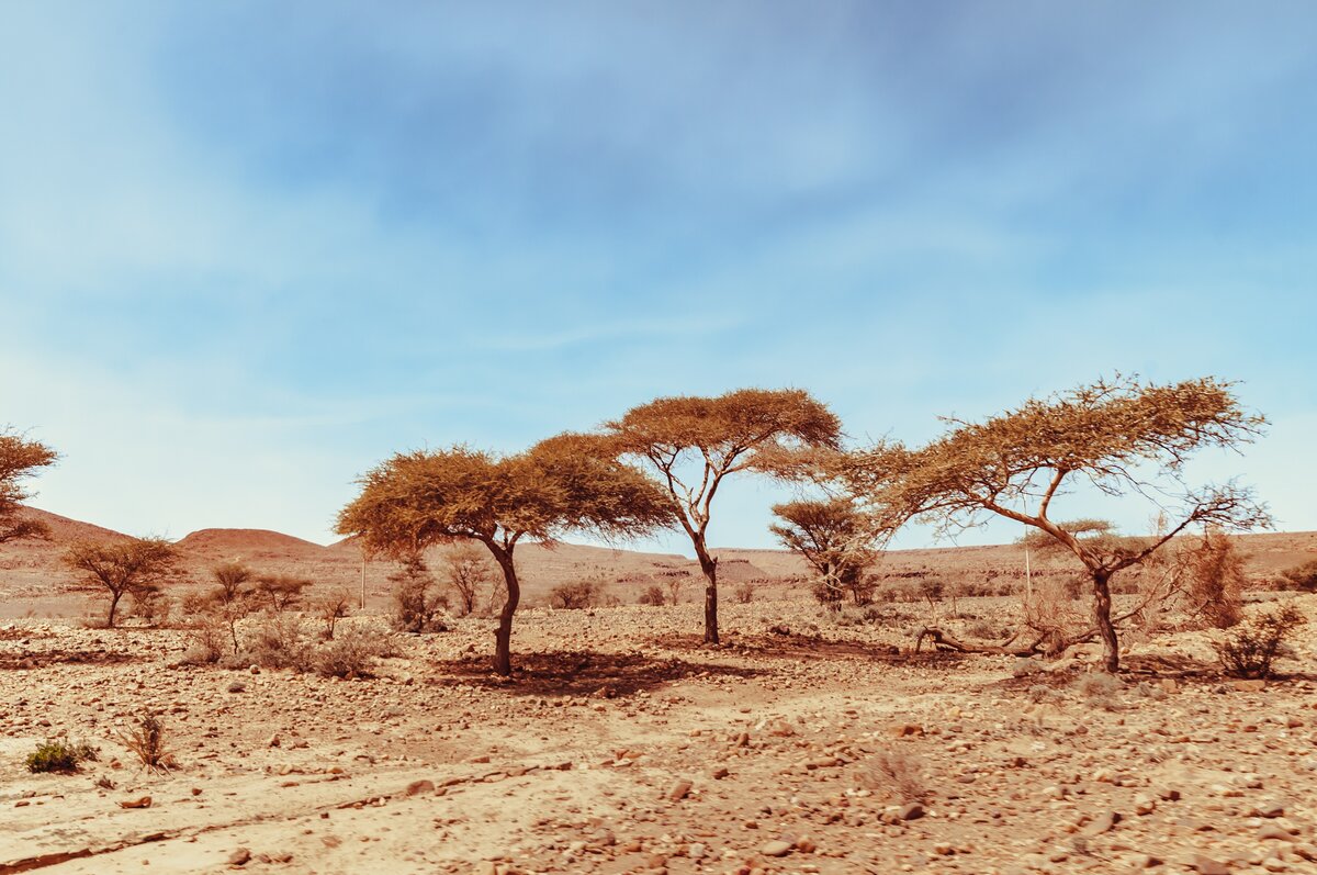 Clima. Anche l’Italia è a rischio desertificazione