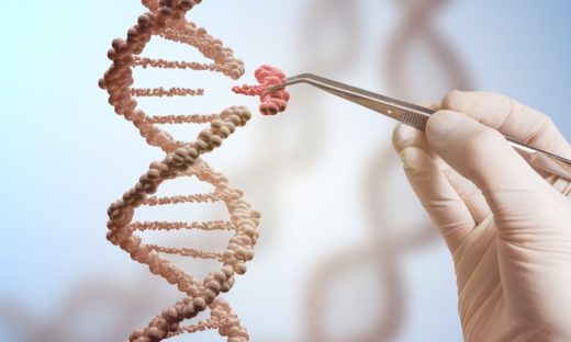 Il gene TBX2: scoperto l’”interruttore” per riaccendere l’udito