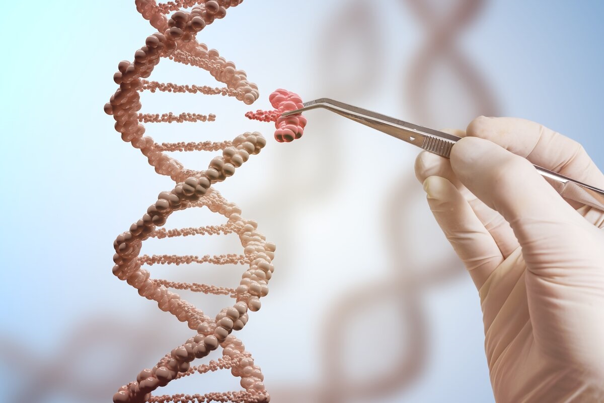 Il gene TBX2: scoperto l’”interruttore” per riaccendere l’udito