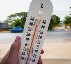 Caldo: solstizio d'estate da record. Le notti si fanno "tropicali"