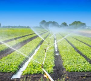 Acqua: il paradosso italiano e il nuovo ruolo delle acque reflue