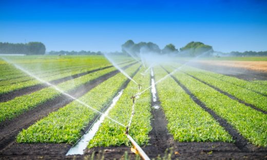 Acqua: il paradosso italiano e il nuovo ruolo delle acque reflue