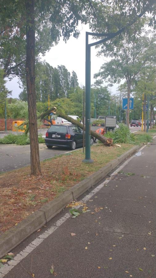 Maltempo: il centro-nord tira le somme di una giornata da incubo