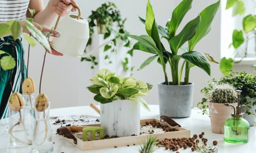 Garden Festival 2022 al via: 5 moodboard per rigenerarsi