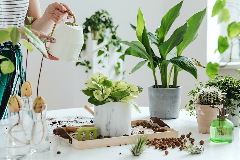Garden Festival 2022 al via: 5 moodboard per rigenerarsi