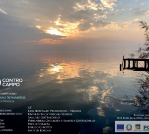 La doppia vita di Venezia: sotto le acque "Panorami sommersi"