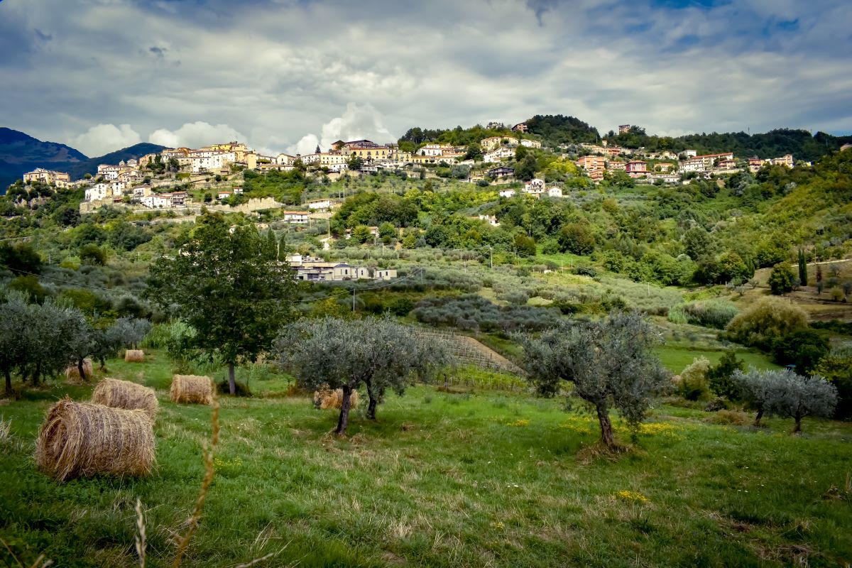 bandiere arancioni