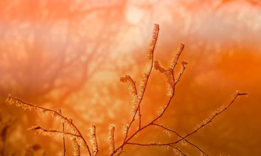 Clima: in arrivo una storica “novembrata”