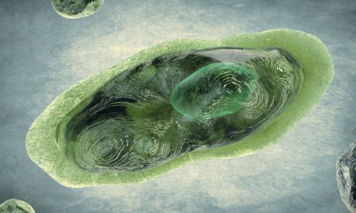 Resuscitano i “virus zombie” dopo millenni di sepoltura in Siberia