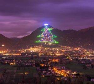 Verso il Natale: dagli alberi da record a quelli più curiosi