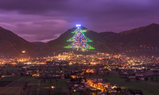 Verso il Natale: dagli alberi da record a quelli più curiosi