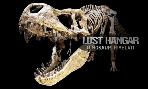 Padova: alla mostra sui dinosauri rubate le falangi a uno Psittacosaurus