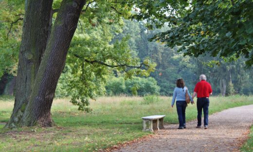 Verde urbano: amici alberi contro smog e caldo