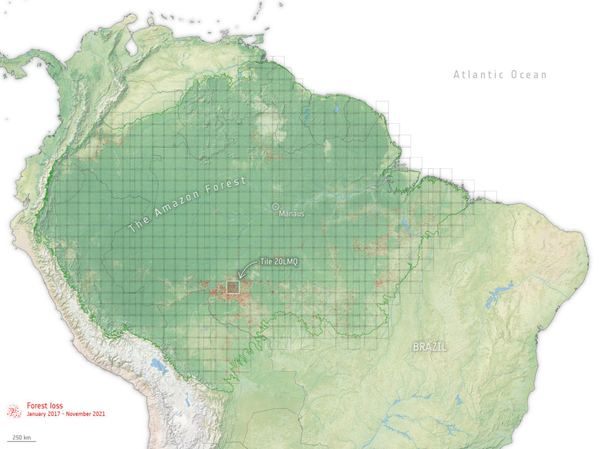 L'Amazzonia ha perso “una Costarica” di foresta in 5 anni