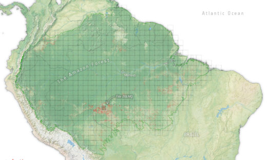 L'Amazzonia ha perso “una Costarica” di foresta in 5 anni