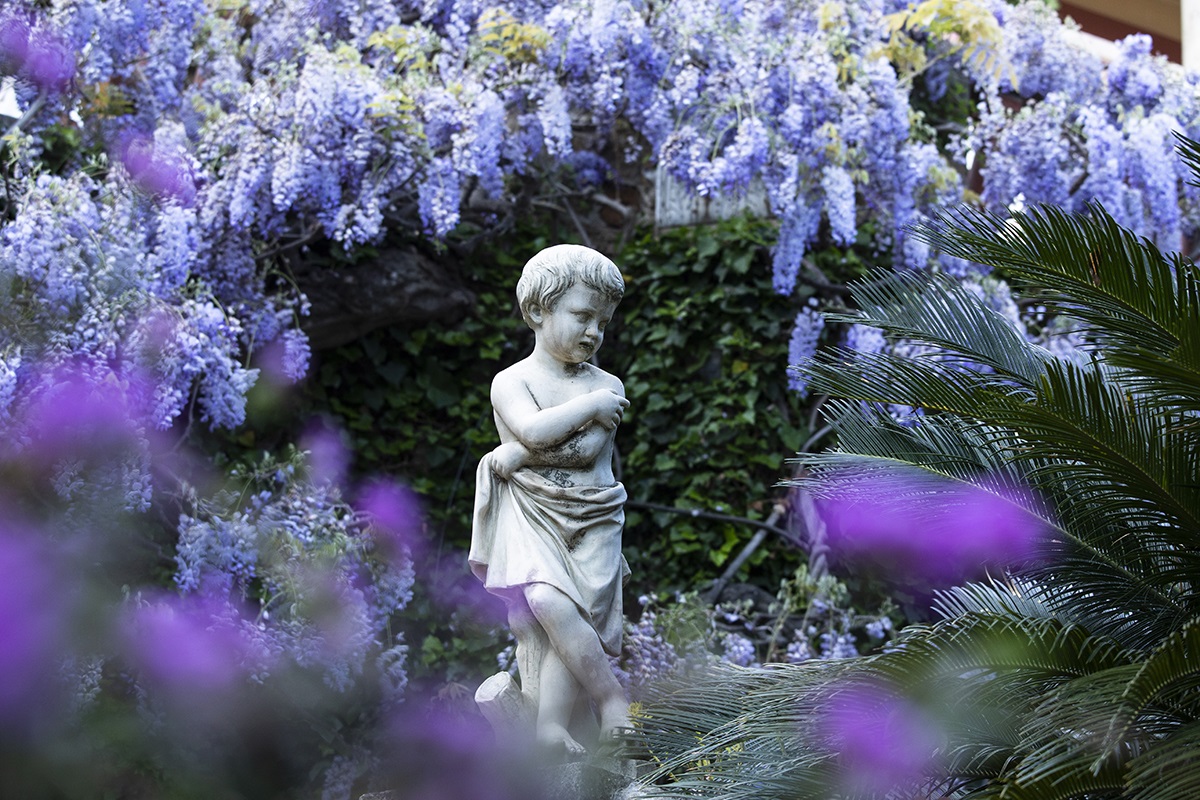 Alassio riapre il Parco più bello d’Italia con la fioritura dei glicini