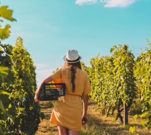 Agricoltura: aziende sempre più femminili e giovani