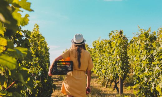 Agricoltura: aziende sempre più femminili e giovani