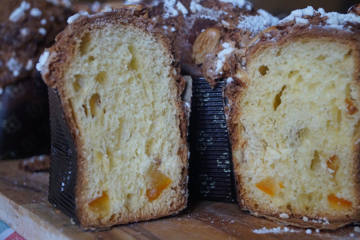 colomba