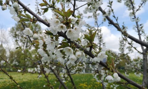 Il Giardino dei sensi che aiuta a scoprire la natura