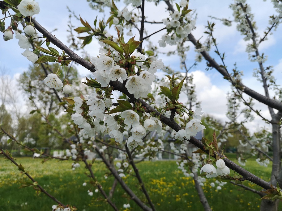 Il Giardino dei sensi che aiuta a scoprire la natura