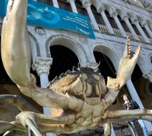 Cent'anni di storia per il Museo Giancarlo Ligabue di Venezia