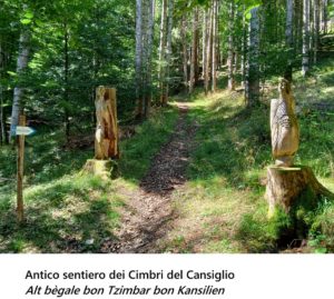 Il popolo dei Cimbri nella Foresta del Cansiglio