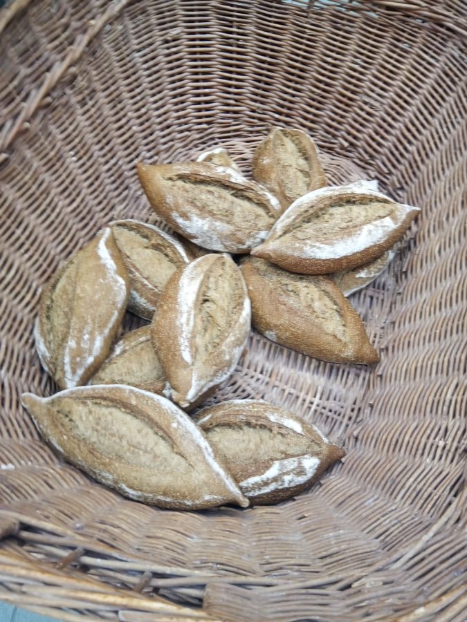 Karshof: arriva la farina veneta prodotta dagli scarti del carciofo