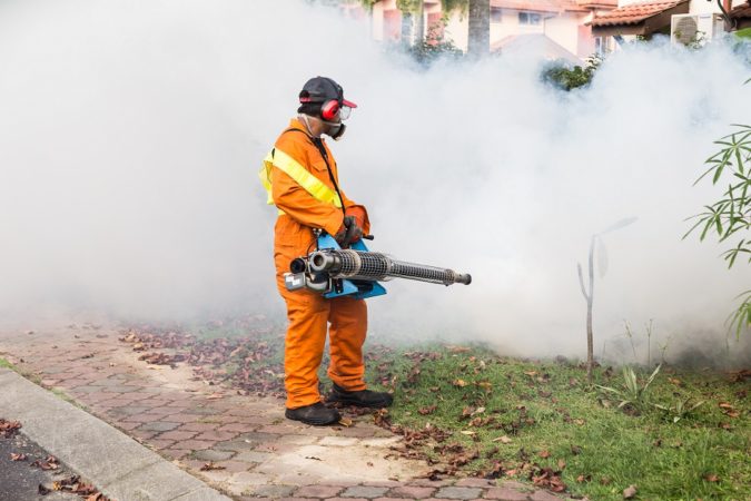 dengue