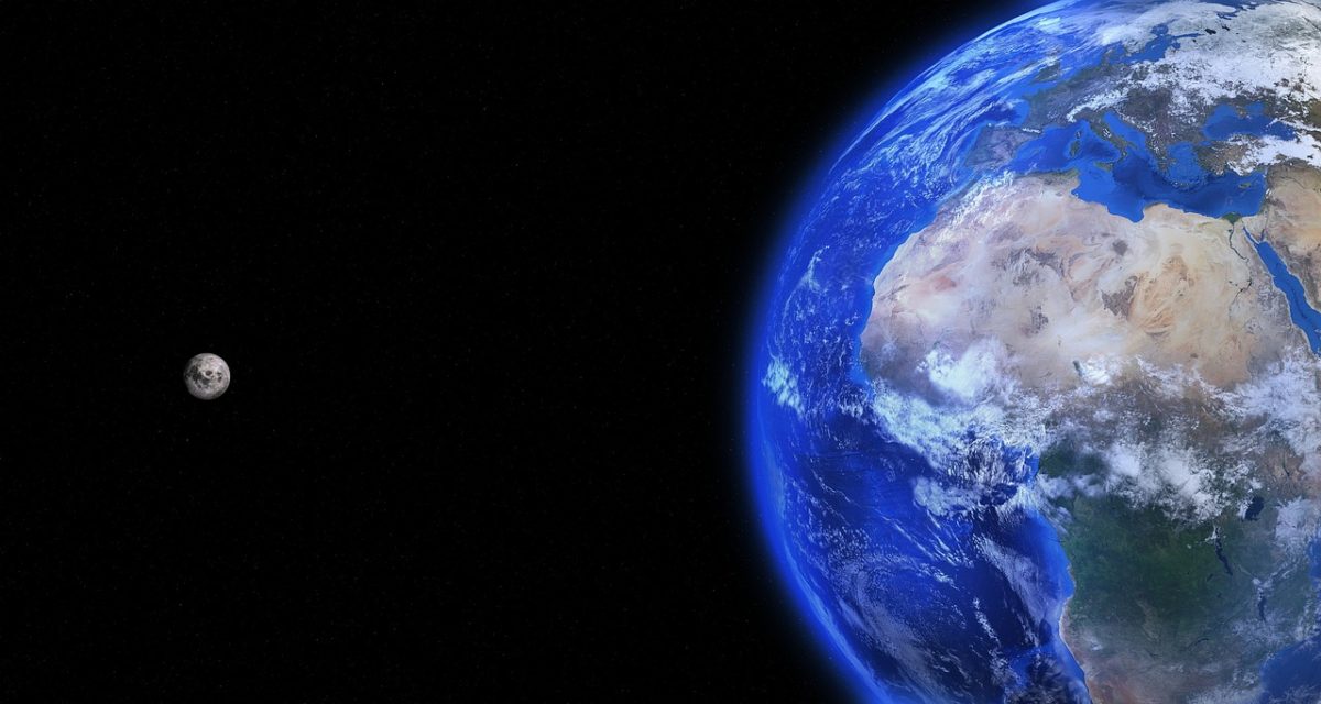 App e sostenibilità: il vivere ecologico sul palmo della mano