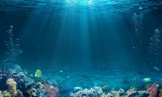 Giornata mondiale degli oceani: le maree stanno cambiando