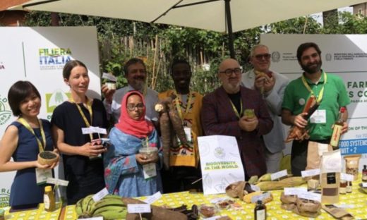 Dalla Perilla alla Maca: alla scoperta dei sapori da salvare