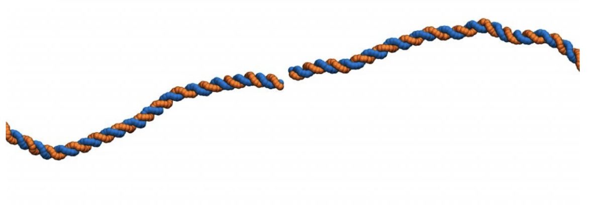 Le radiazioni che spezzano il dna e provocano i tumori