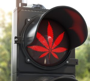 Arriva la stretta sulla cannabis light: da settembre solo in farmacia
