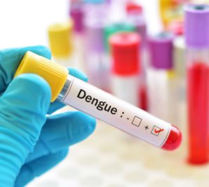 Dengue: nuova allerta dal ministero alle regioni