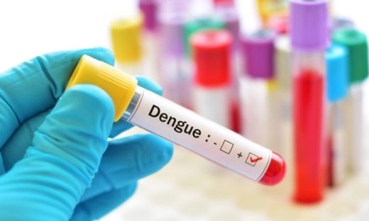 Dengue: nuova allerta dal ministero alle regioni