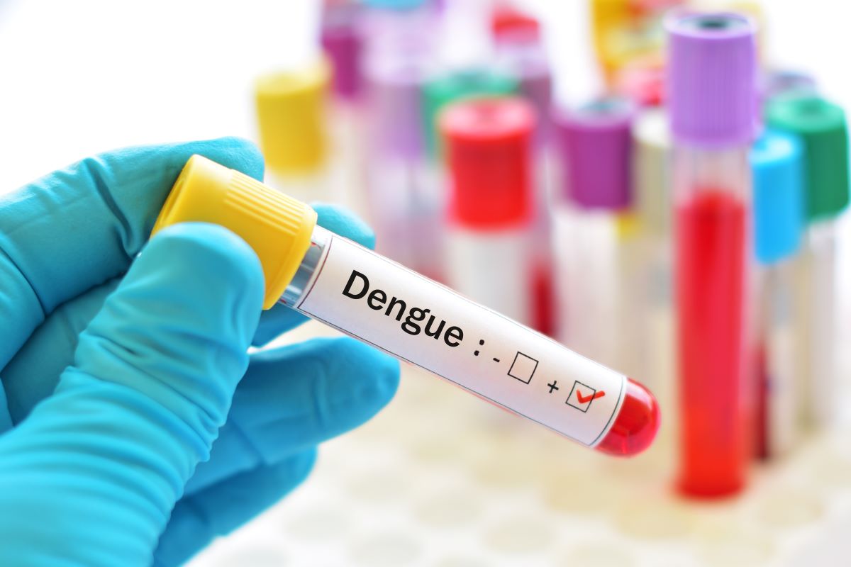 dengue