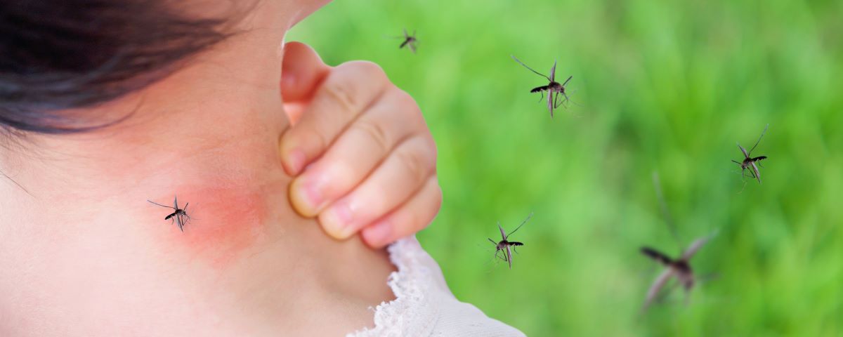 Dengue: dal Brasile un vaccino efficace all'80%