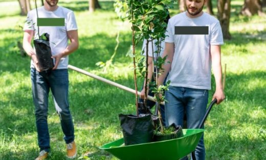 Studenti sospesi? A scuola e a far volontariato