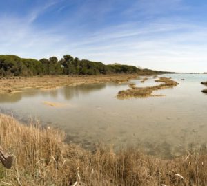 I relitti del Mort: una nuova storia subacquea per la costa veneziana