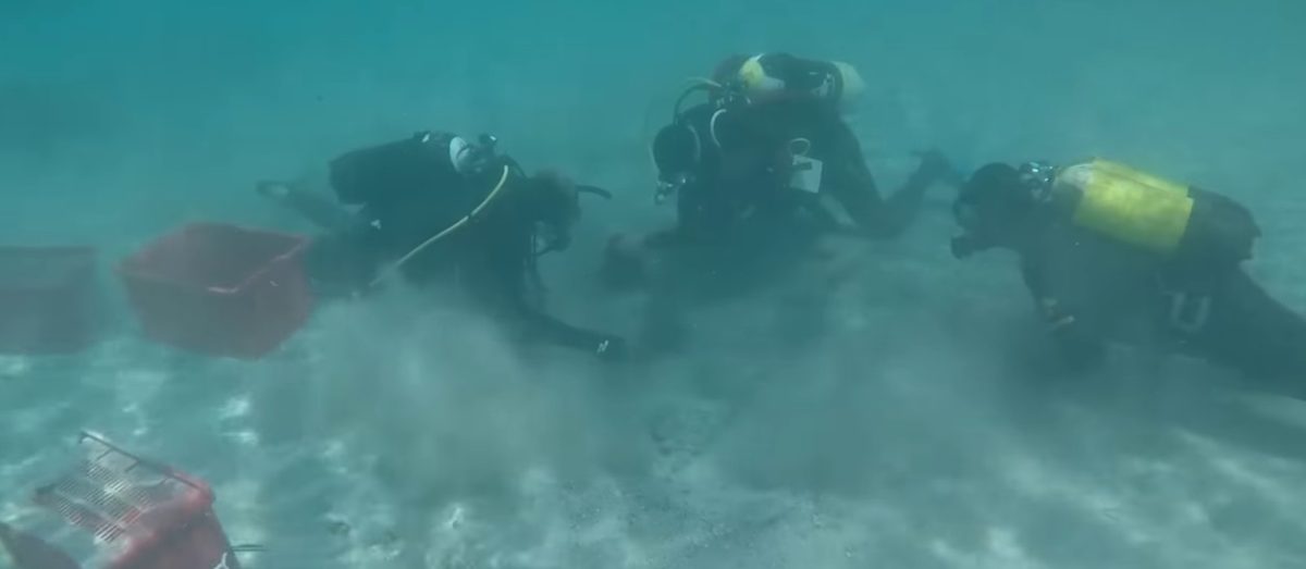 Sardegna: ritrovato un tesoro nascosto in fondo al mare