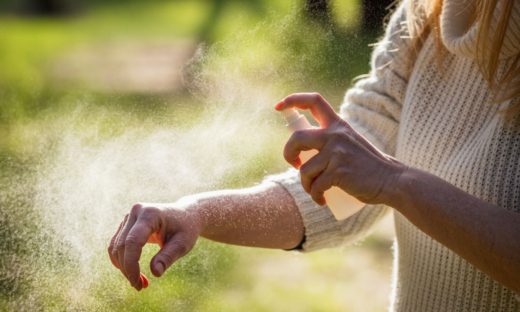 West Nile: il primo caso autoctono dell’anno è a Modena