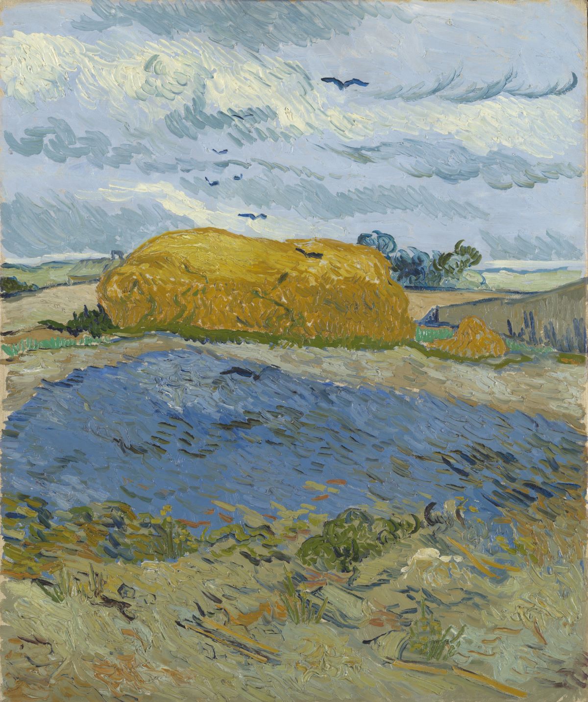 Van Gogh