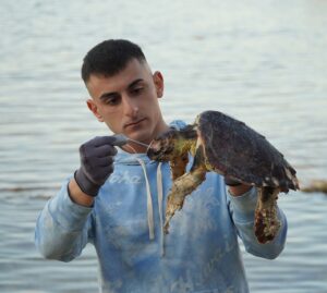 Tartarughe marine sempre più vittime dell’inquinamento e dell’uomo
