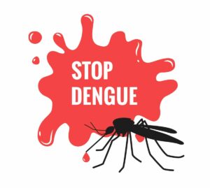 Dengue: alzato il livello di allerta alle frontiere italiane
