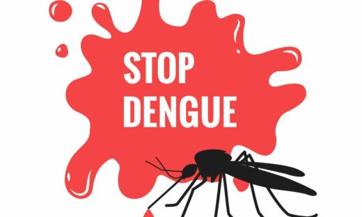 Dengue: alzato il livello di allerta alle frontiere italiane