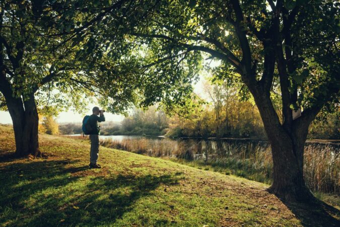 birdwatching